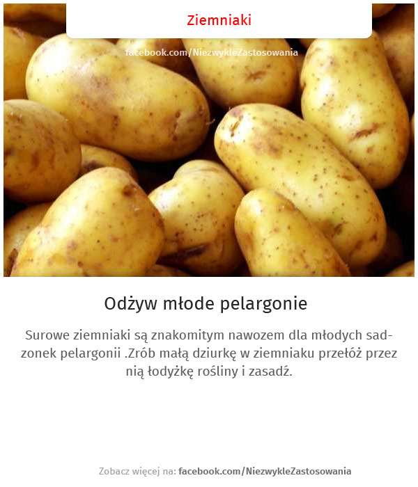 Niezwykłe zastosowania zwykłych rzeczy - Ziemniaki