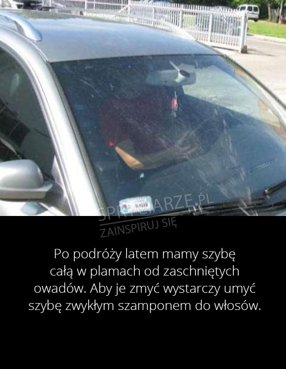 Sposób na szyby brudne od owadów 
