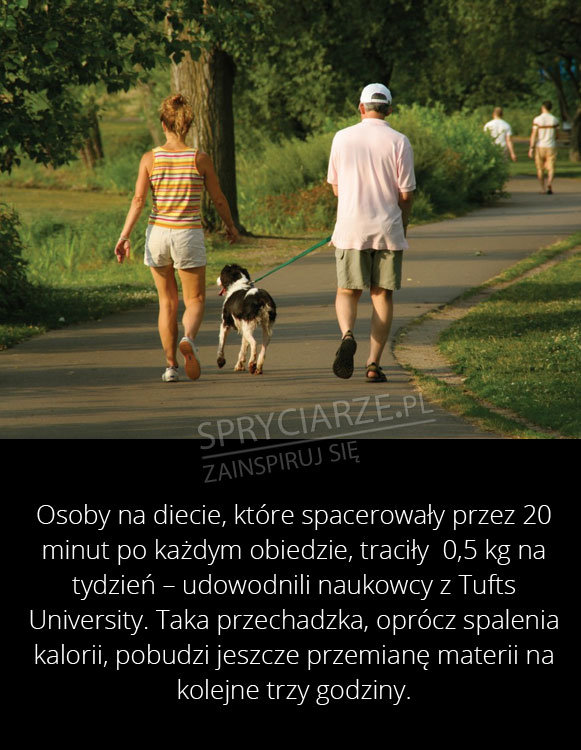 Spalaj tłuszcz spacerując 
