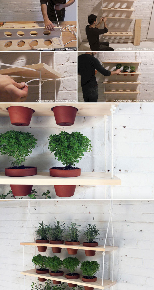 Pomysł na wiszący ogród