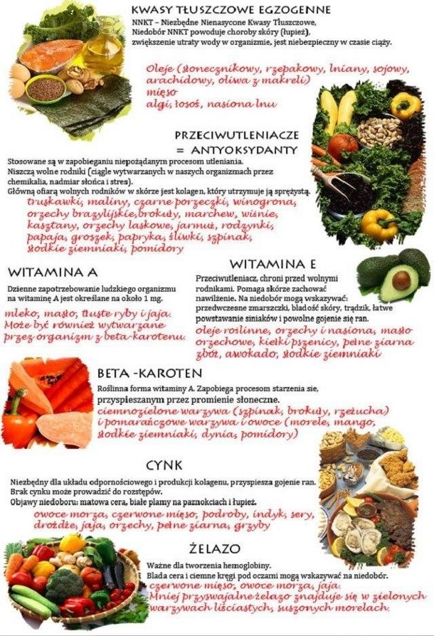 Podstawy zdrowego żywienia