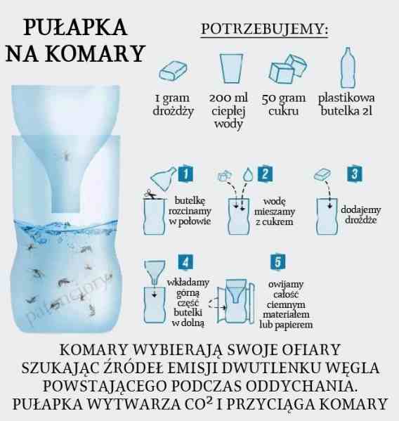 Pułapka na komary