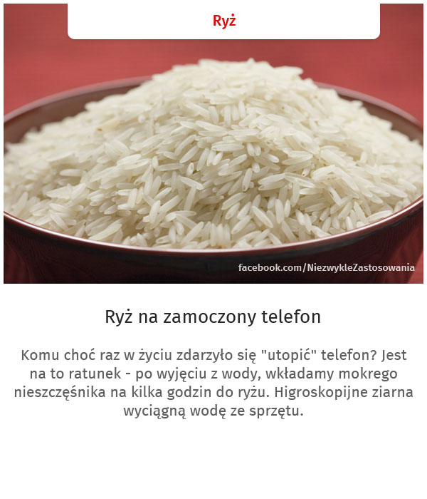 Niezwykłe zastosowania zwykłych rzeczy - Ryż 