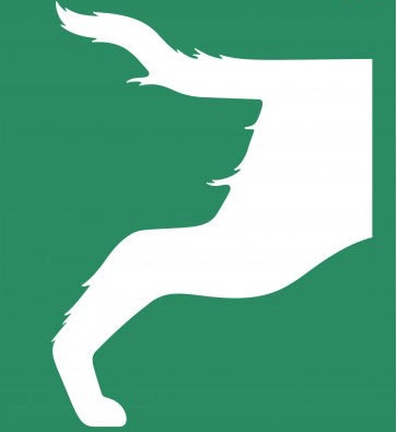 Plakat z iluzją i motywem psa