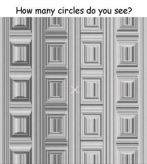 Ile kółek widzicie? (patrzcie się na X)