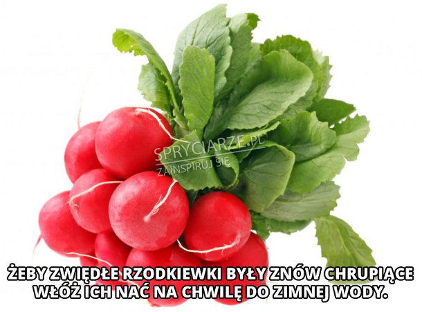 Jak nadać ponownie chrupkości rzodkiewkom 