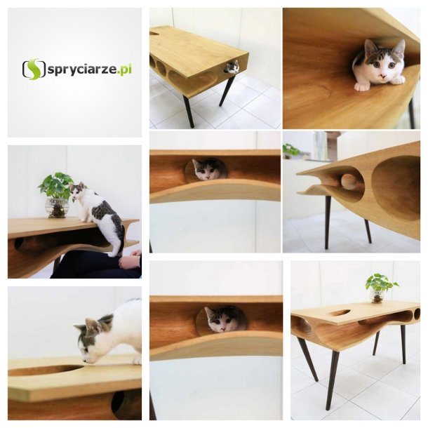 Biurko dla posiadacza kota