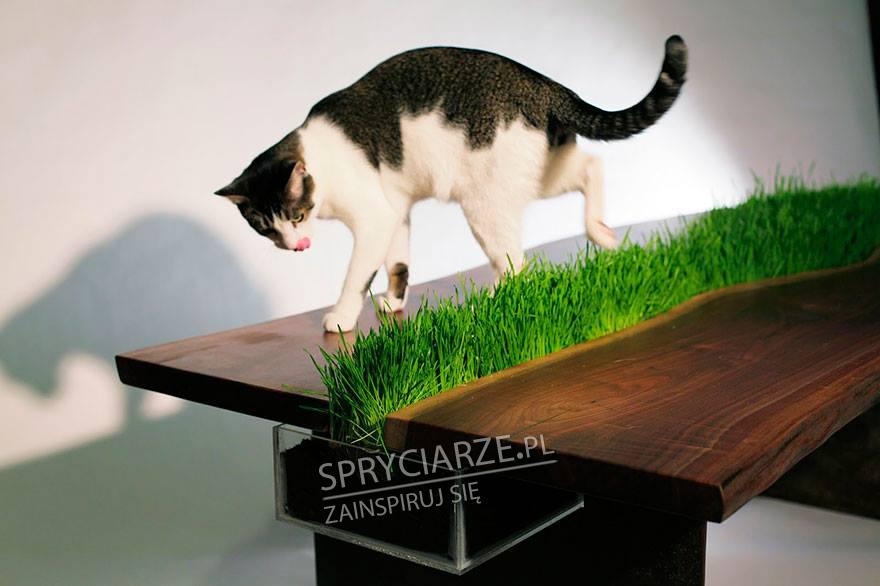 Stół, który pokocha Twój kot