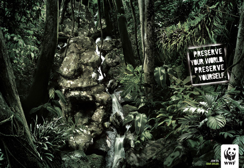 WWF wie jak przyciągnąć uwagę