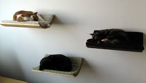Łóżeczka dla kotów