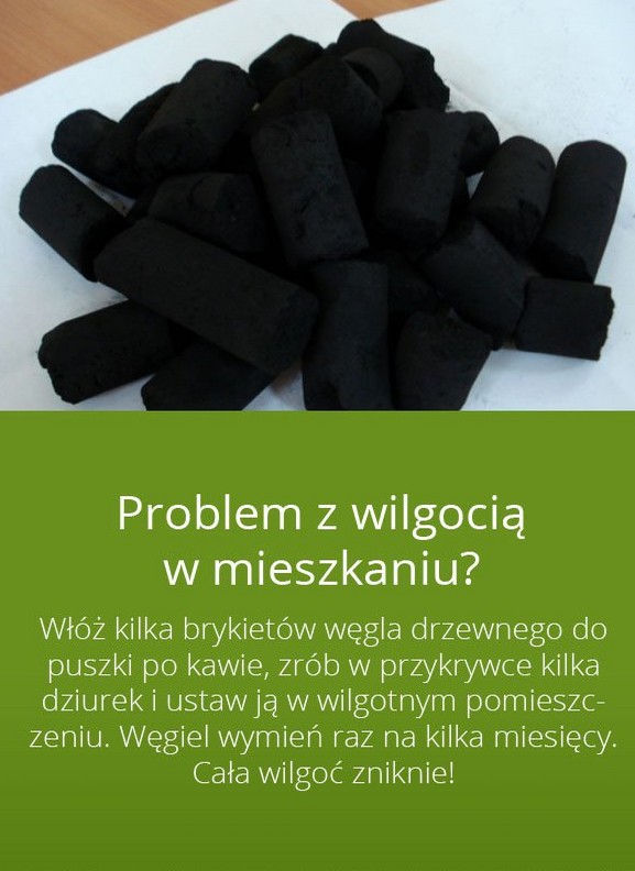 Sposób na wilgoć w domu