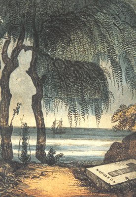 Napoleon jest obecny