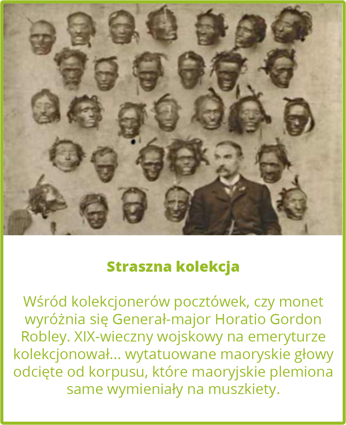 Straszna kolekcja