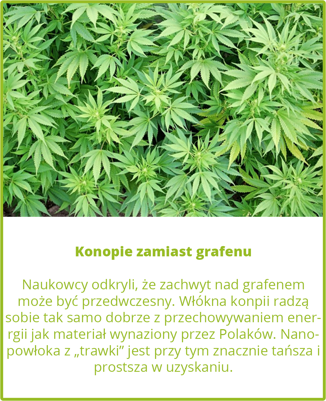 Konopie zamiast grafenu