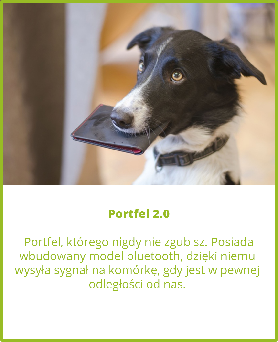 Portfel 2.0