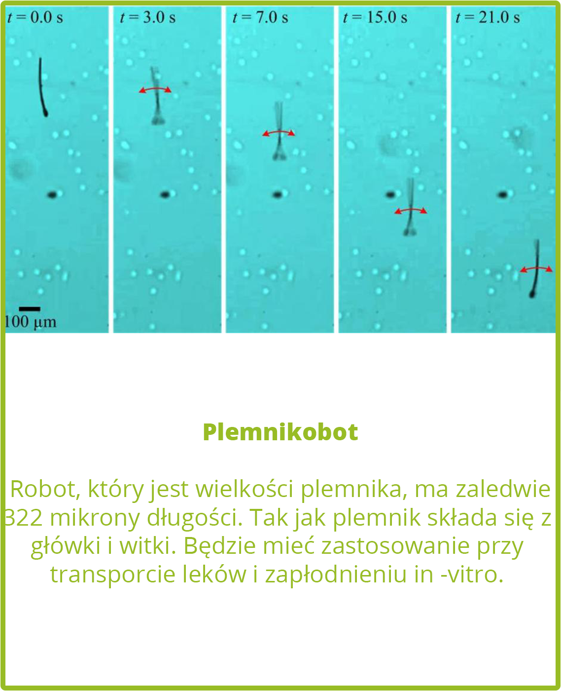 Plemnikobot