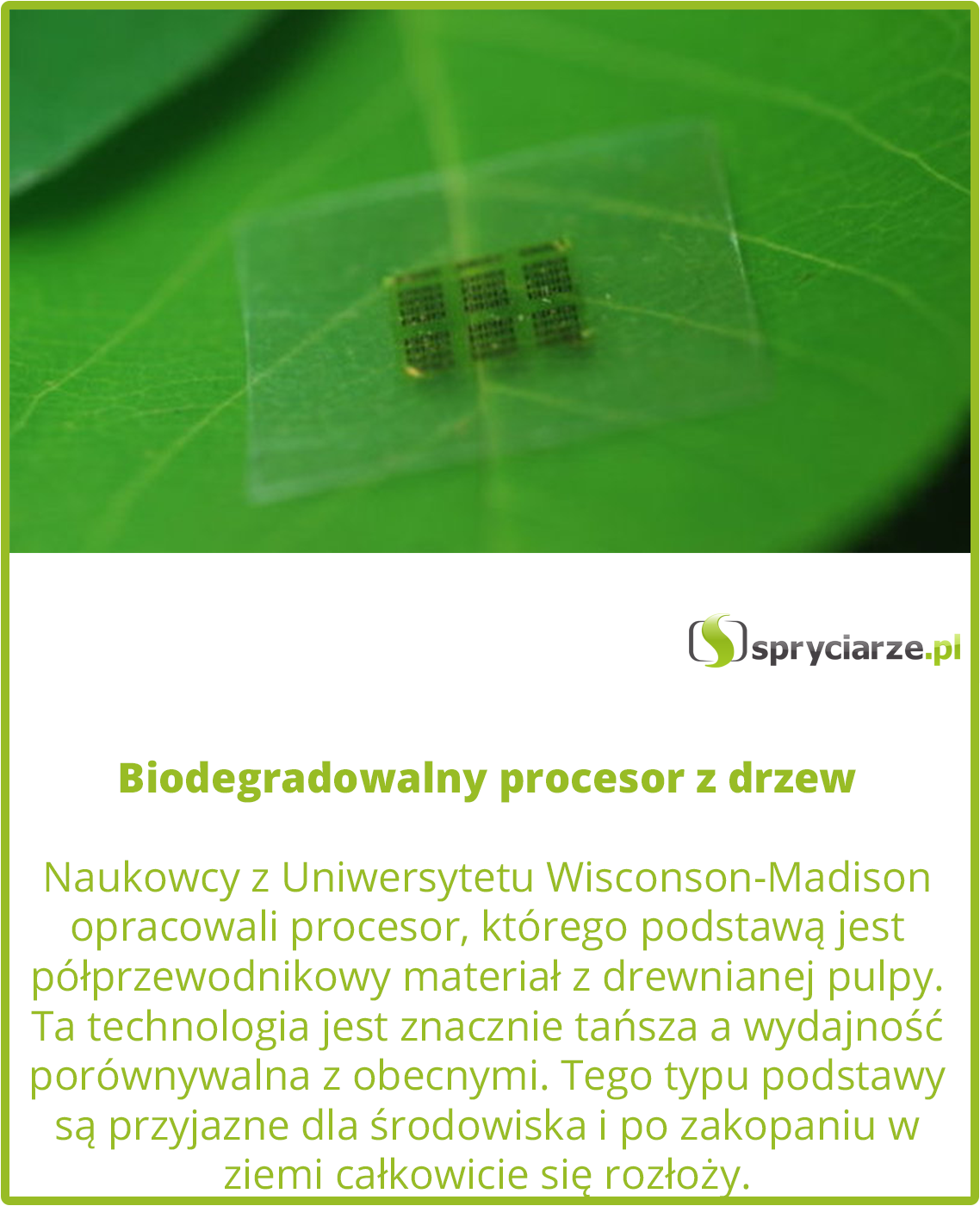 Biodegradowalny procesor z drzew