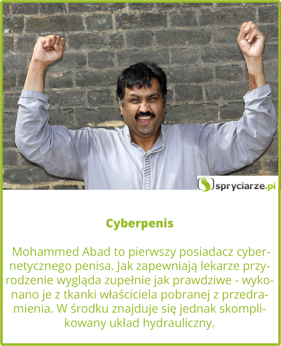 Cyberpenis
