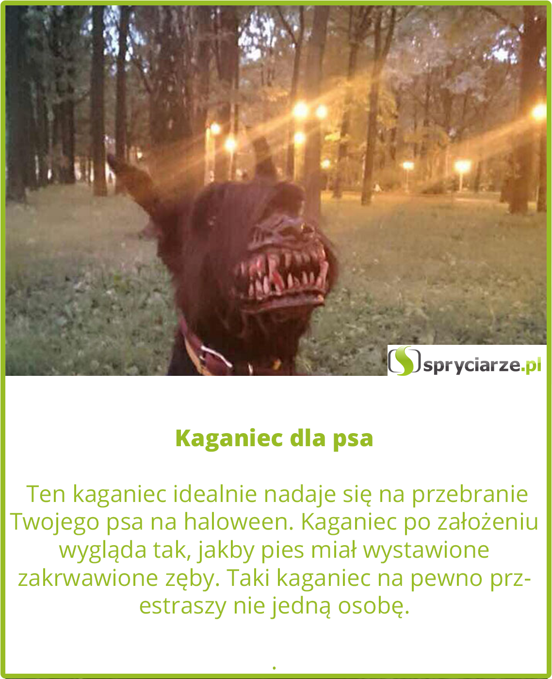 Kaganiec dla psa