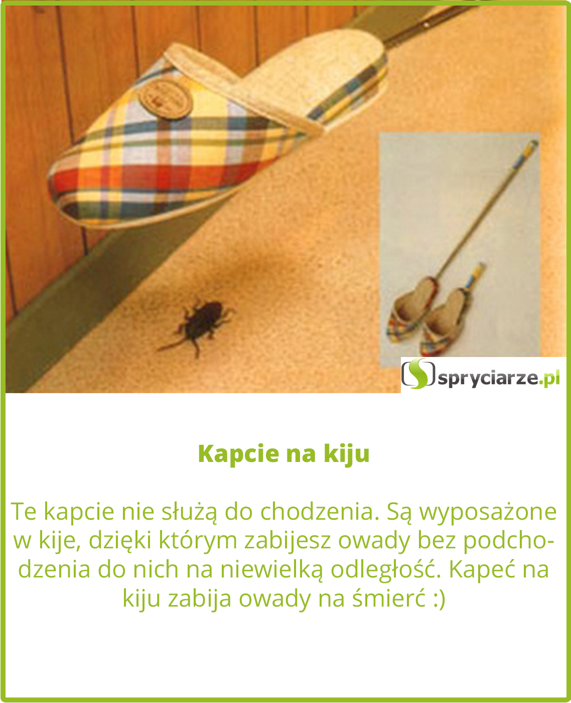 Kapcie na kiju