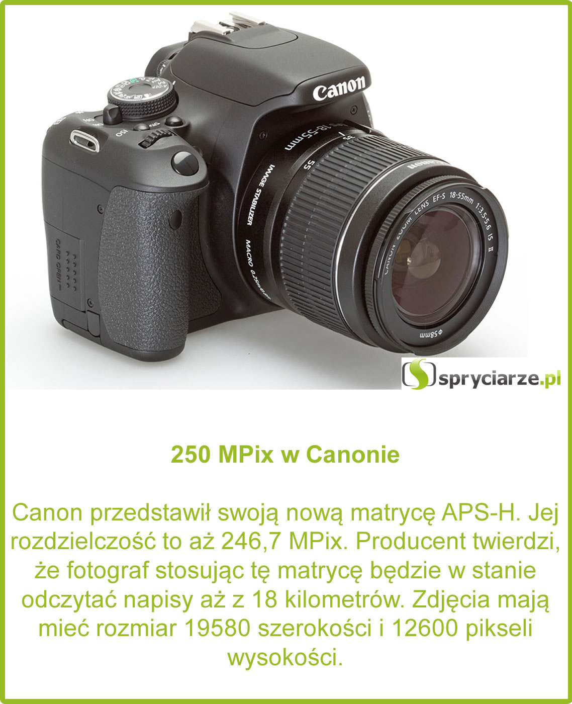 250 MPix w Canonie