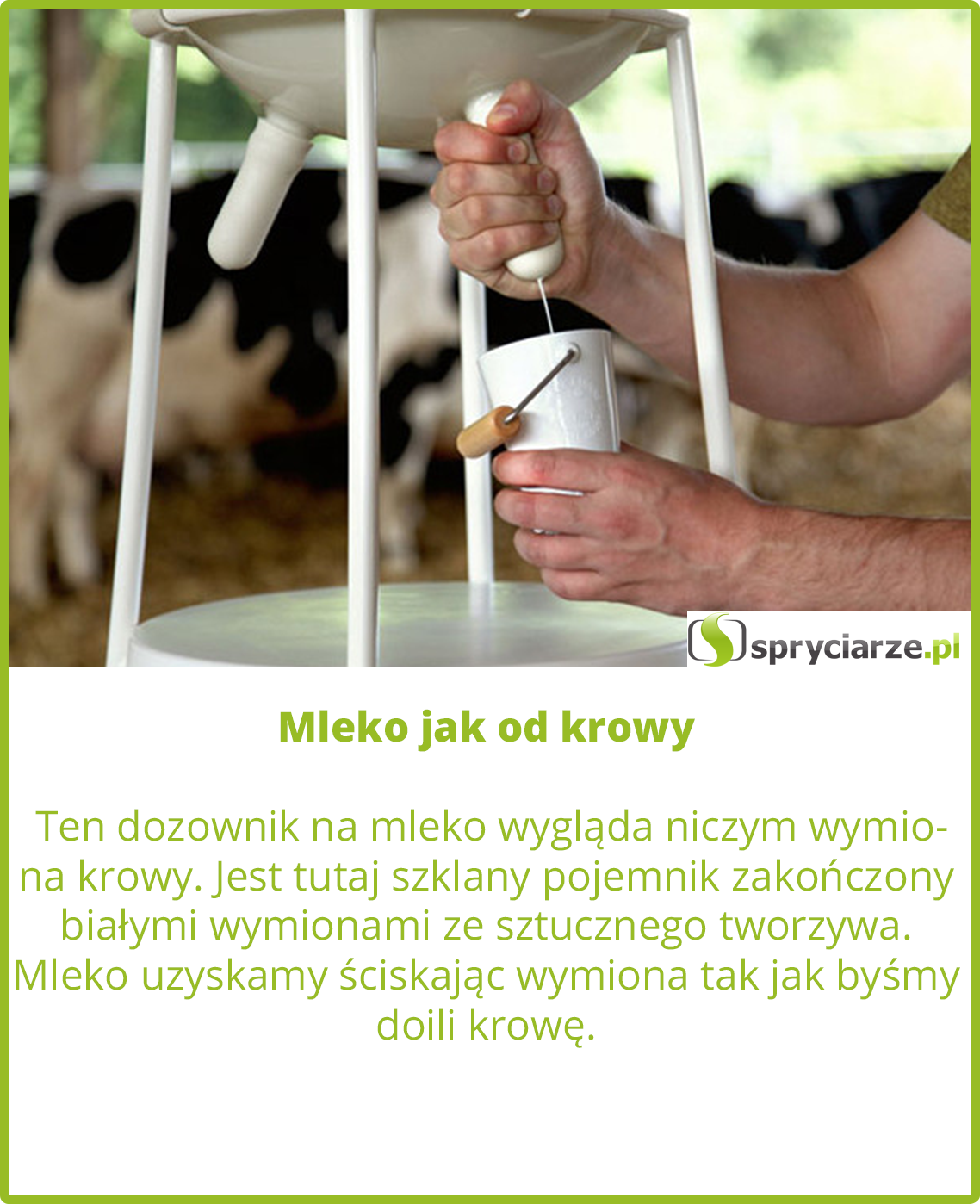Mleko jak od krowy