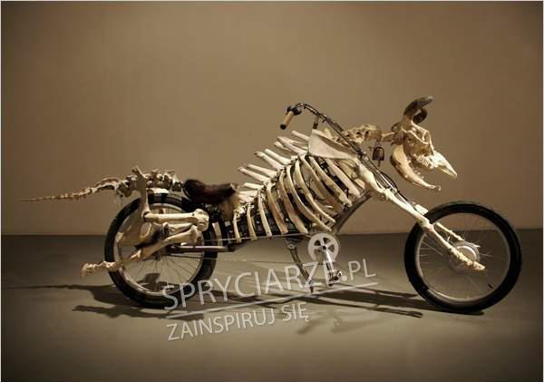 Szkieletowy rower