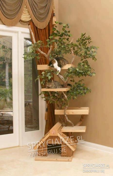 Drzewko z półkami dla kotów