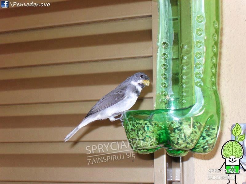 Karmnik dla ptaków z butelki PET