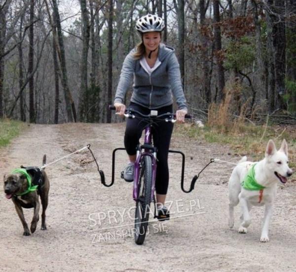 Sposób na wyprowadzanie psów na rowerze